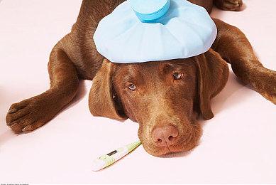 《蒸汽世界：建造》新实机预告 展示繁华小镇和危险矿井